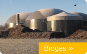 Biogas